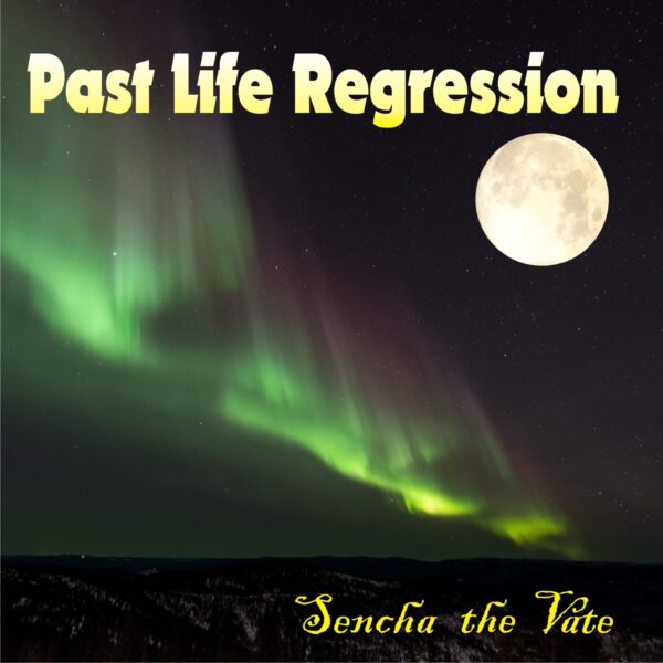 Past Life Regression Meditation Album Cover