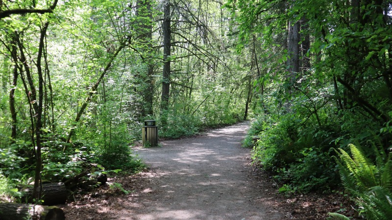 Path at Tacoma Nature Center about Elder Grove Media