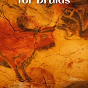 Animal Wisdom for Druids pdf book